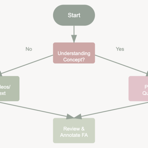 USMLE Step 1 flowchart showing decision path: starting with concept understanding, leading to either video/text resources or practice problems, and converging on First Aid review and annotation. Uses professional sage green and soft pink color scheme with clear white text